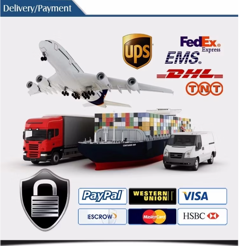 পেমেন্ট২