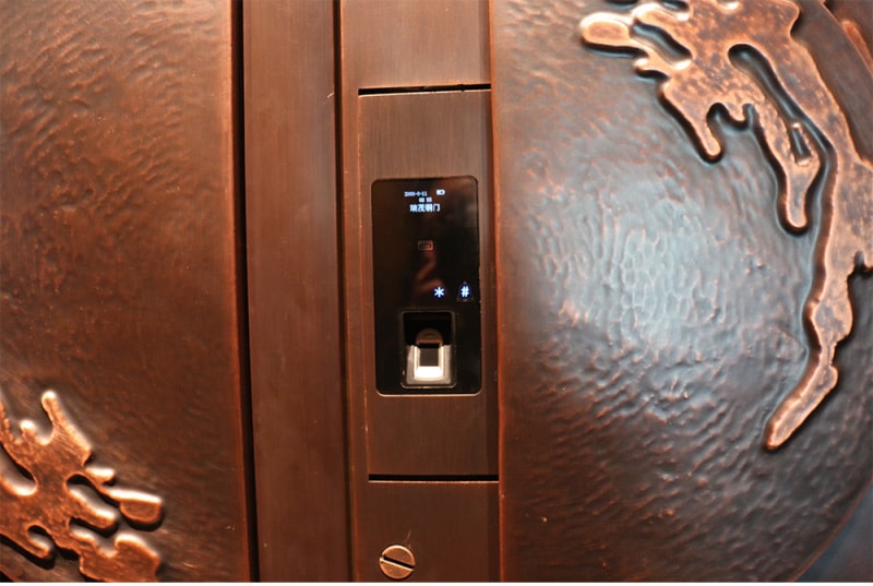 Sunlit Artisan Copper Villa Radiance Door detail (5).jpg