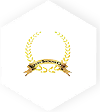 partner8