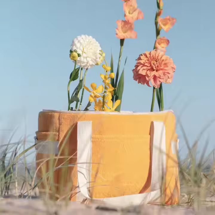 fish cooler bag