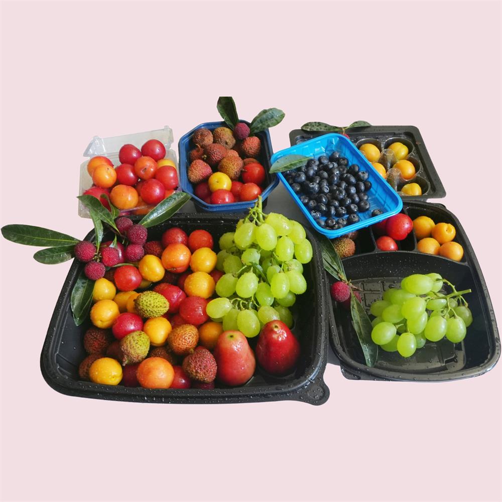 Revolutionizing Production with Our Full Servo Multi-Station Thermoforming Machine