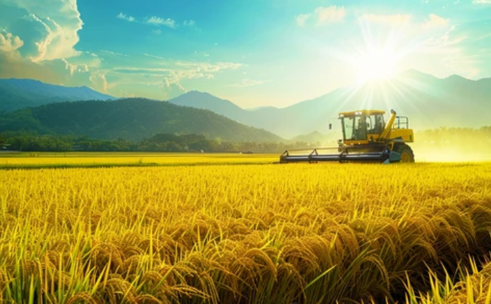 For a farmer which way is better for renting an excavator or purchasing one ?