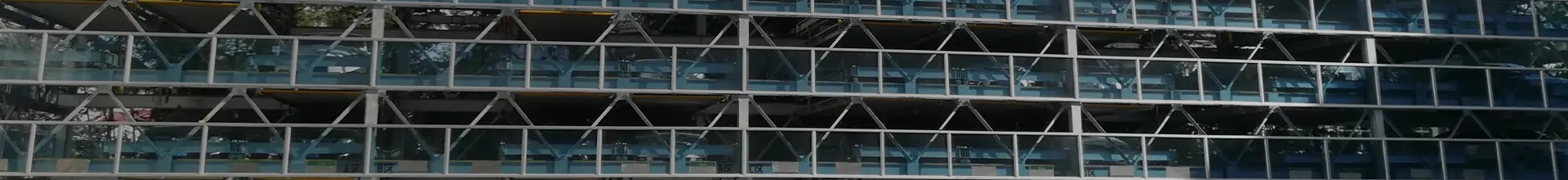 Exploring the Unique Features and Applications of Best Resveratrol Products and How to Choose the Right One