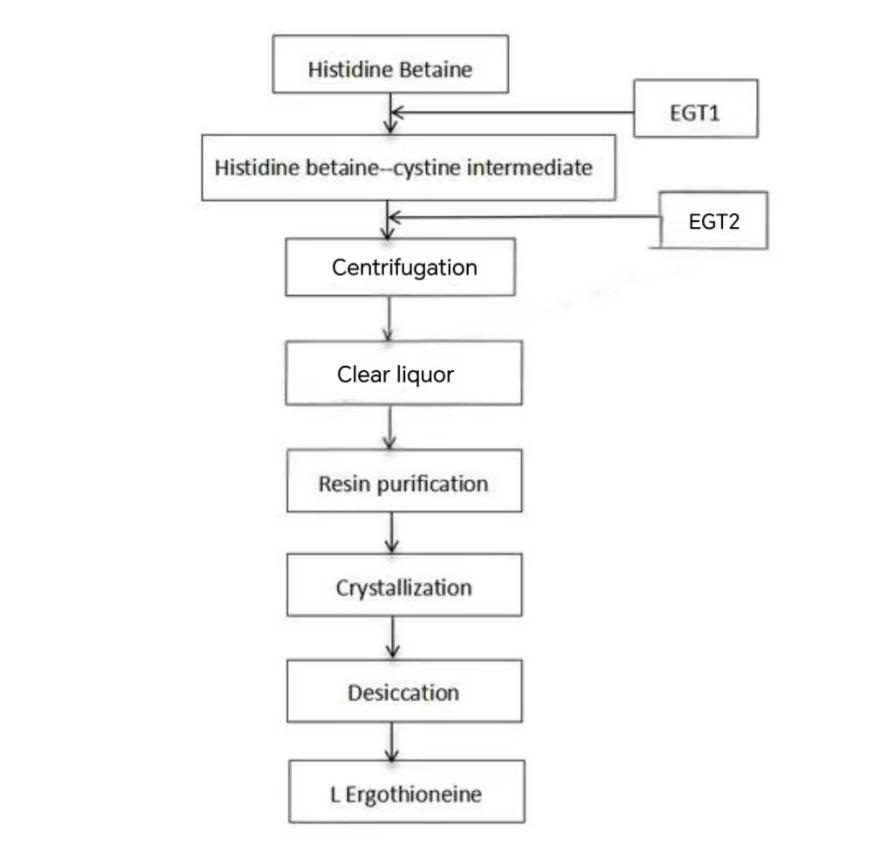Fertigungsprozessdiagramm