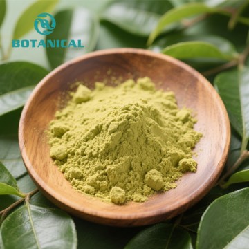 Fisetina em pó – Poderoso antioxidante para a saúde da pele, antienvelhecimento e proteção celular.