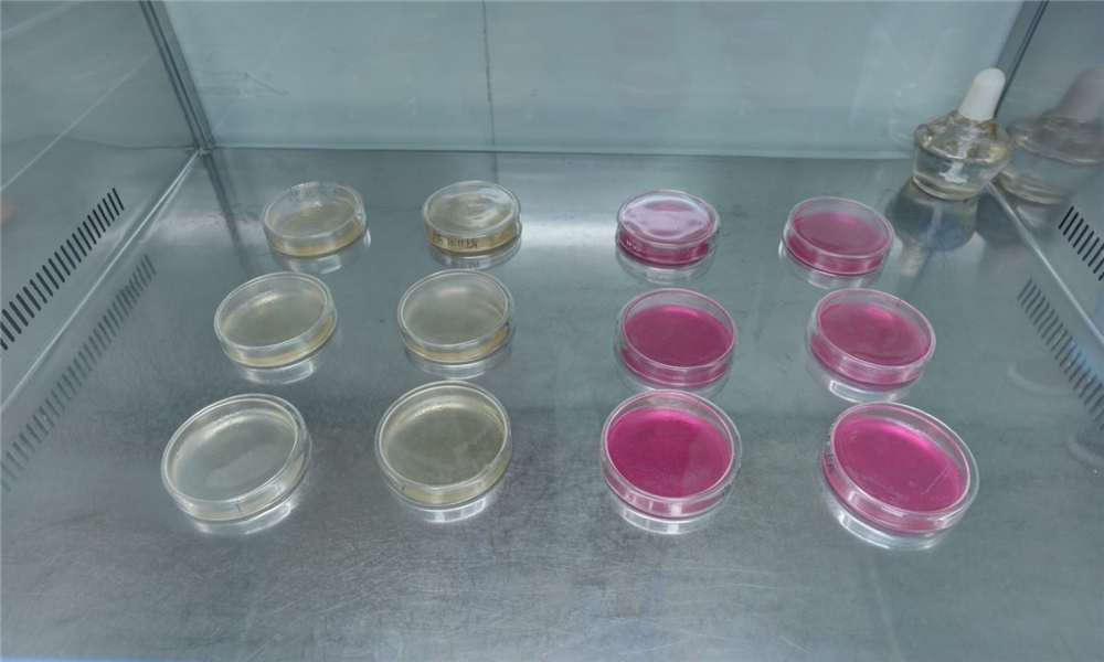 Microbiological testing (2)