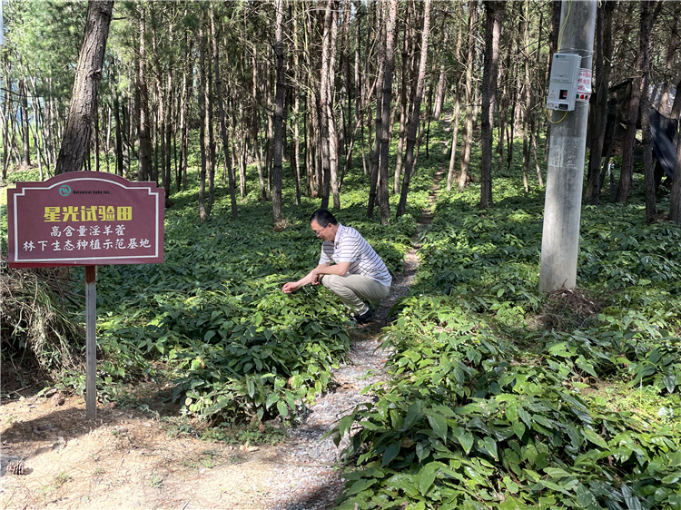 planting base (8)