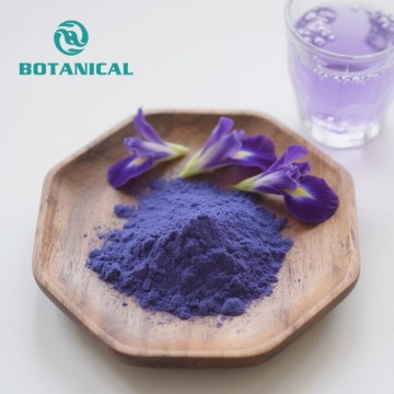 Polvo de flor de guisante de mariposa azul Clitoria Ternatea