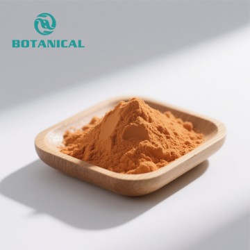 Sapalai Tele o le CoQ10 Powder Q10