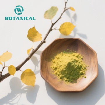Cotinus Coggygria Fisetin Supplement Powder