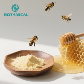 Gefriergetrocknetes Bienen-Royale-Pulver
