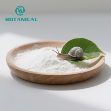 High-Quality Snail Extract, Mucus & Secretion Powder