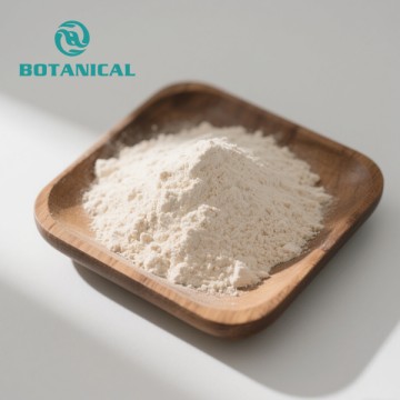 Polvo probiótico Lactobacillus Acidophilus