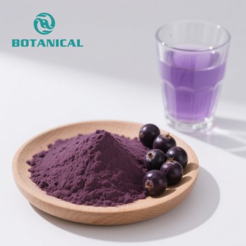Organic Acai Berry Fruit Euterpe Oleracea Extract Powder