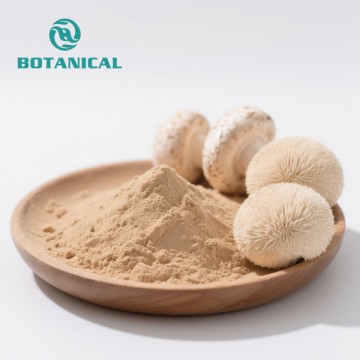 Bio-Löwenmähnenpilz-Extraktpulver