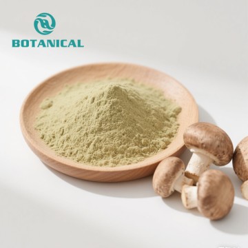 Organic Shiitake Mushroom Extract Powder