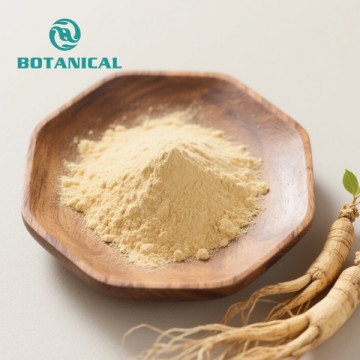 Polvo de ginsenósido de raíz de Panax Ginseng a granel