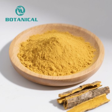 Phellodendron bark extract Berberine HCL Powder