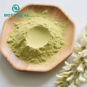 High-Purity Quercetin from Natural Sophora Japonica Extract