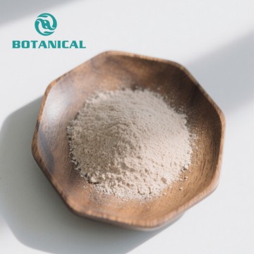 Saccharomyces Boulardii en polvo a granel
