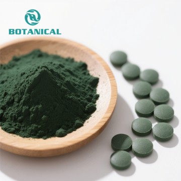 Vegan Organic Chlorella Green Algae Powder