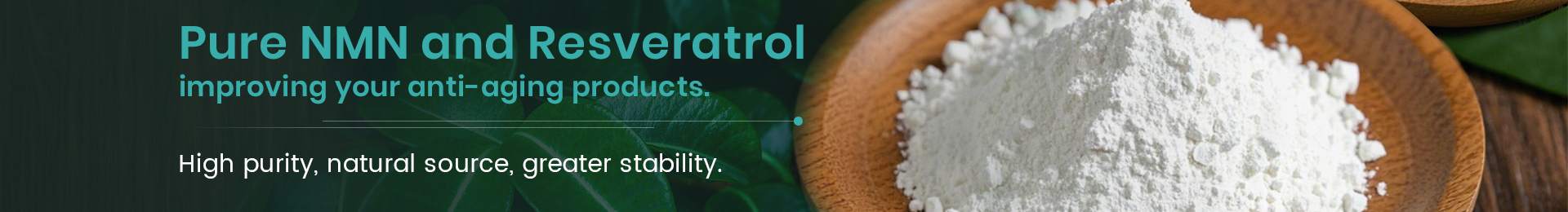 French Pine Bark Extract