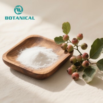 Bearberry Extract Arbutin Powder