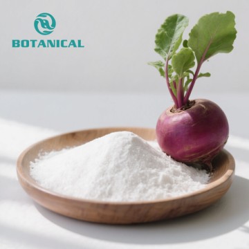 Rote-Bete-Betain-Extrakt-Pulver