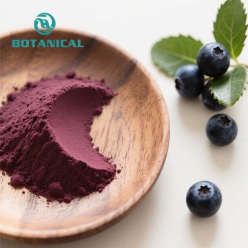 Blueberry Anthocyanin Powder
