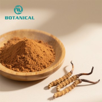 Cordycepin Cordyceps Extract Powder