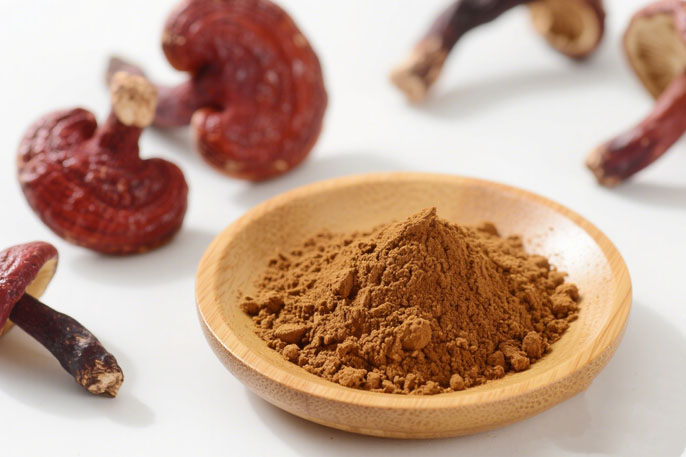 poudre de spores de ganoderma biologique 2