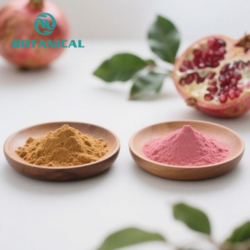 Punica granatum fructus extract
