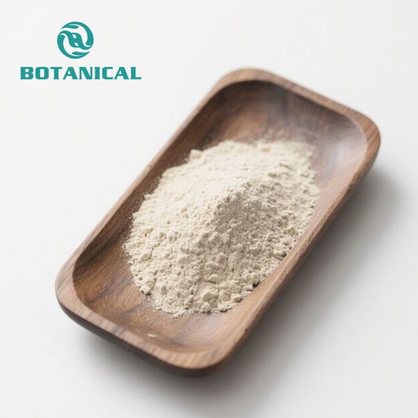 Astragalus Membranaceus Root Extract Powder 2.jpg