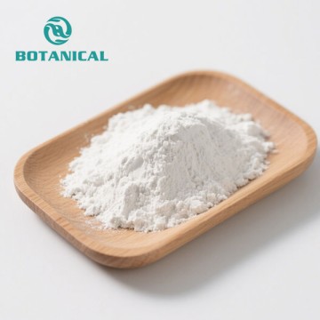 Bifidobacterium Lactis Pulver