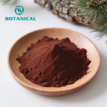 French Maritime Pine Tree Bark Extract Powder