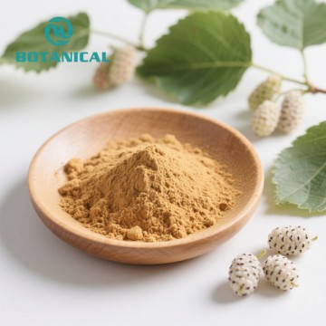 Morus Alba White Mulberry Powder