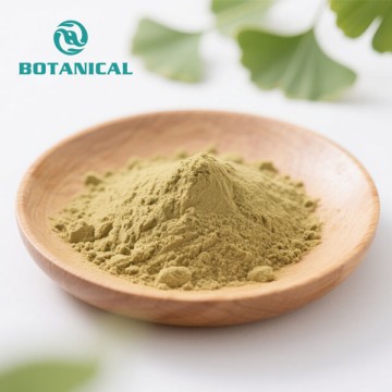 Natural Ginkgo Biloba Leaf Extract Powder