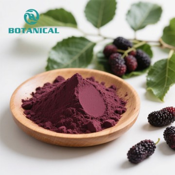 Organic Mulberry Powder Extract