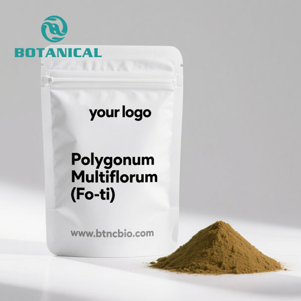 Polygonum Multiflorum (Fo-ti) Poudre 2.jpg