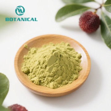 Pure Myrica Extract Ampelopsin Powder