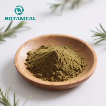 Pure Rosmarinic Acid Rosemary Leaf Extract Powder