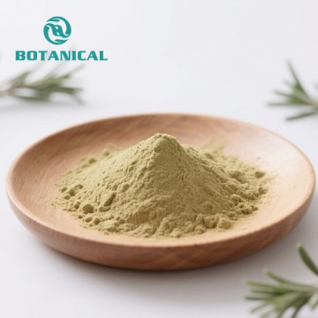 Rosmarinus Officinalis Carnosic Acid Powder