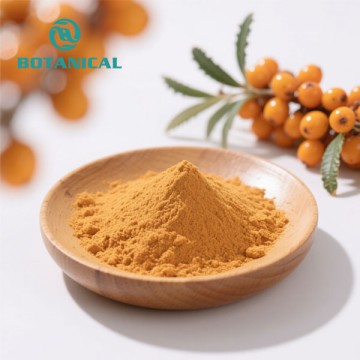 Sea Buckthorn Hippophae Rhamnoides Powder
