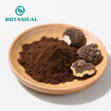 Chaga mushroom extract powder