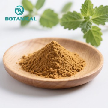 Holy basil leaf extract powder