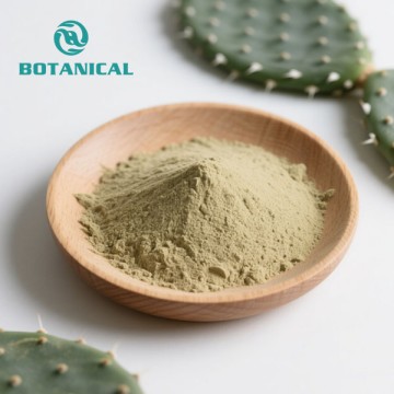 Nopal Cactus Extract Powder