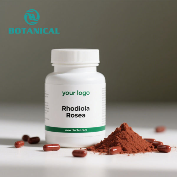 Rhodiola Rosea Extract Powder 3% Rosavins 1% Salidroside 2.jpg
