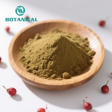 Schisandra Chinensis Extrakt | Schisandrinpulver