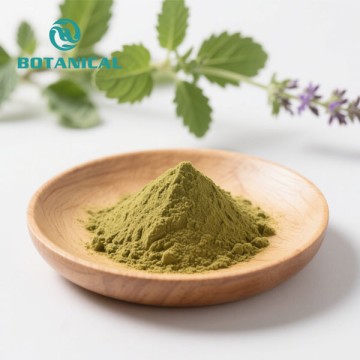 Tulsi leaf extract powder