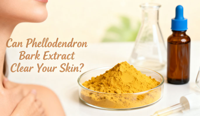 Can Phellodendron Bark Extract Clear Your Skin 2